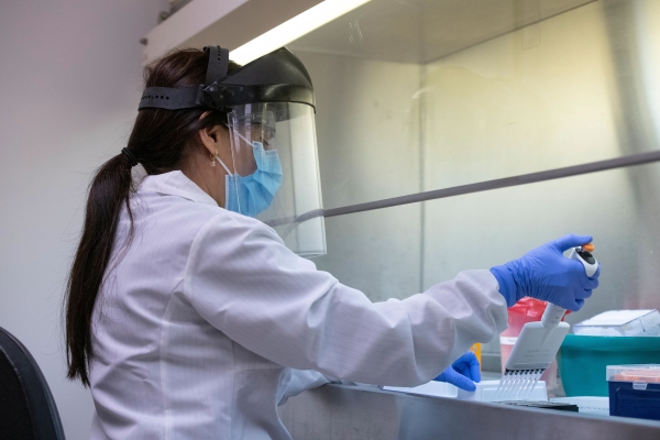 Aarti Jain processes serum samples in the Philip Felgner lab