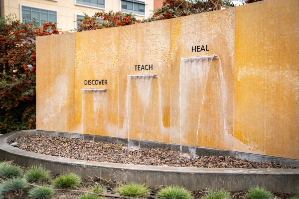 Discover Teach Heal water fountain.