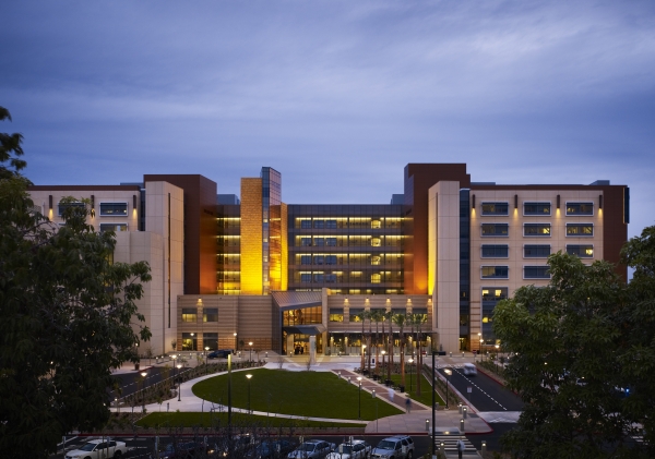 Photo of Douglas Hospital at dusk or dawn.