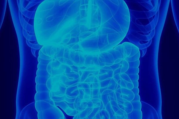 gastrointestinal image