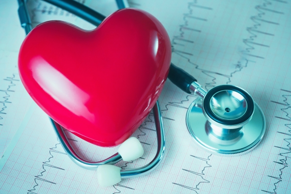 Heart Shape, Stethoscope, Human Heart, Graph, Medical Equipment