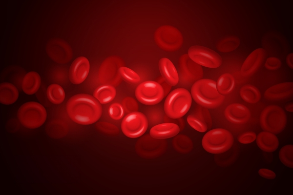 3D Illustration of red blood cells flowing through artery