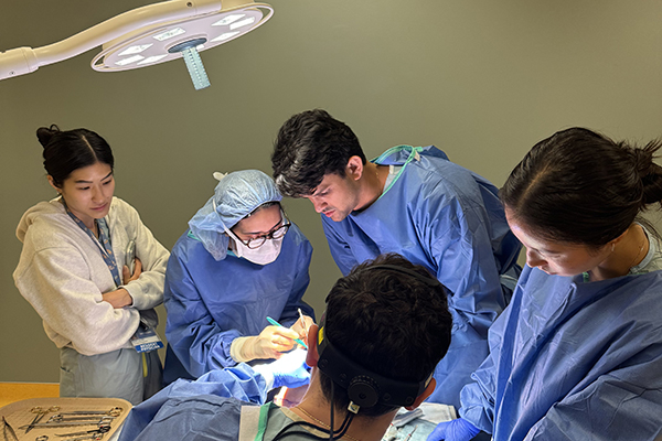 A group of plastic surgery residents practice surgical techniques on a cadaver in one of the residency's laboratories.