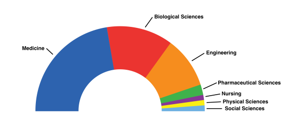 Graphic of a semi circle pie chart for Awards per school