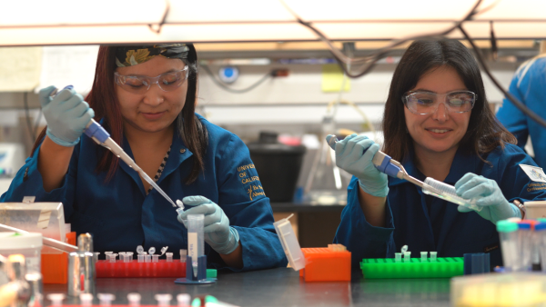 students using pipettes in a lab