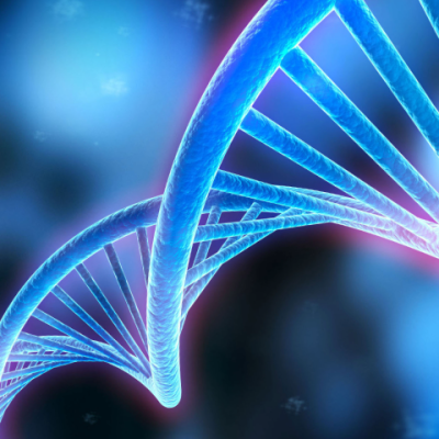 pink and blue dna helix