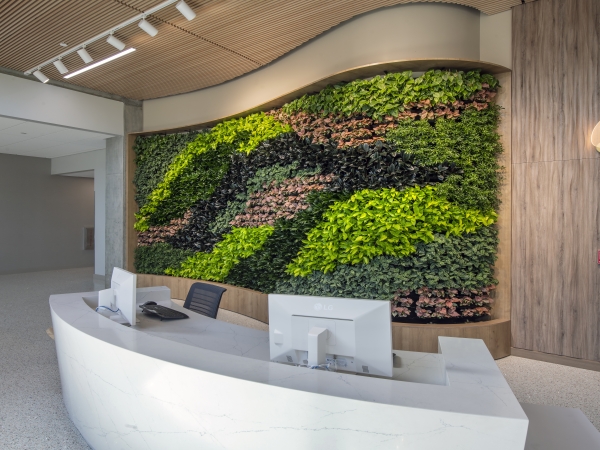 Front desk at the Samueli College of Health Sciences with a living plant wall in the background