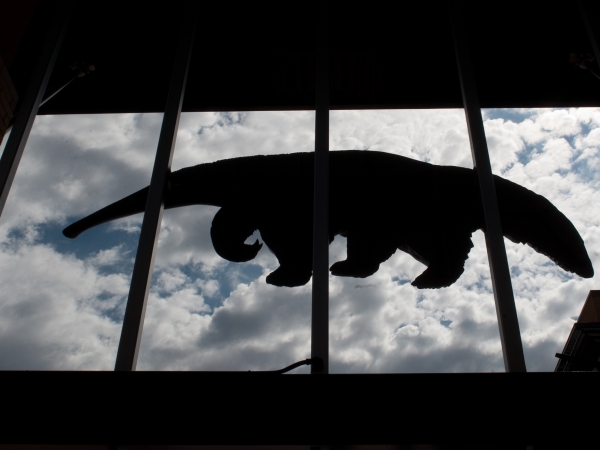 A photo of the large windows of the student center with the silhouette of a giant anteater