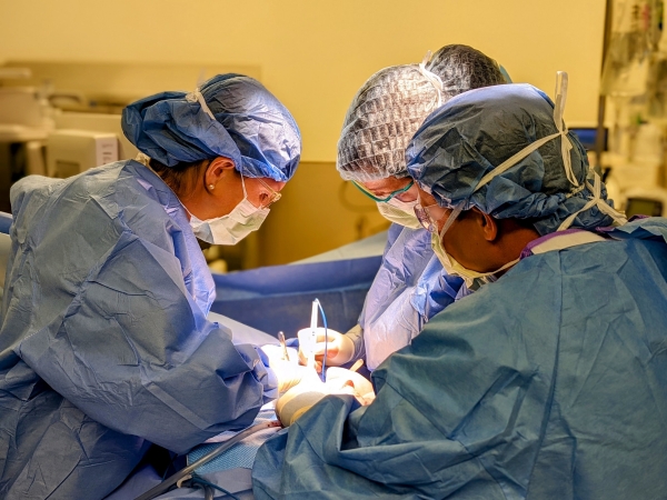 Surgeons performing an operation on patient