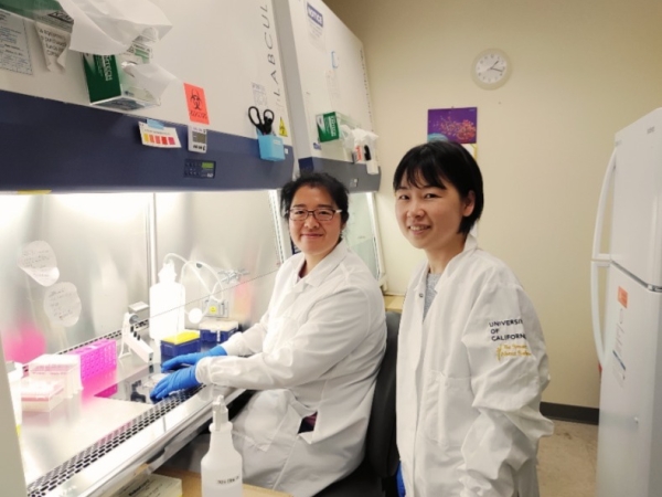 Yuan-Chen Tsai, PhD, and Momoko Watanabe, PhD working in lab at UCI