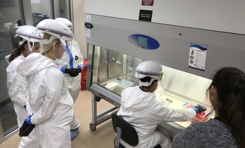 People learning how to use a vent hood in a laboratory.