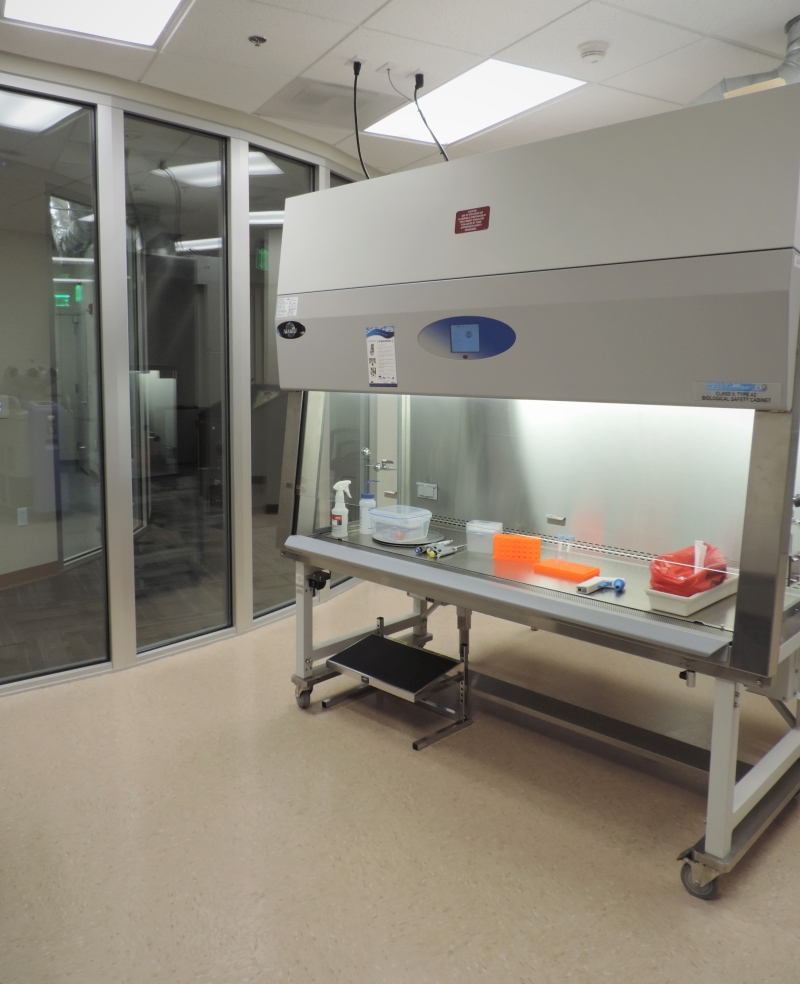 Mock-laboratory space with counter