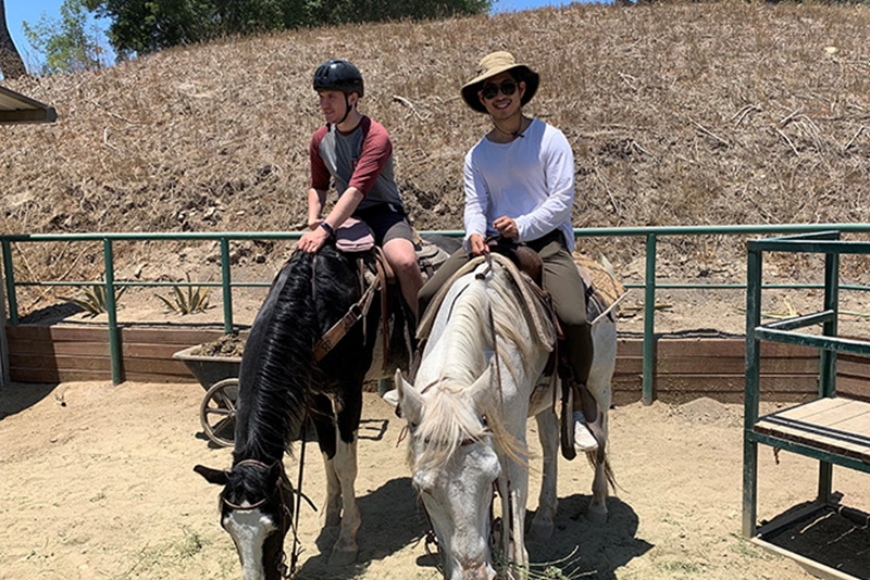 Two people sitting on horses 