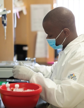 Postdoc Michael Zulu in biologist Ilhem Messaoudi's lab 