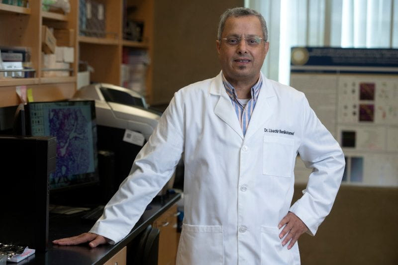 Immunology Researcher Secures Nearly $4 Million NIH Grant to Advance ...