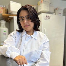Sarahi Rios Arguello