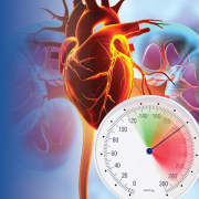 kindeys-heart-sphygmomanometer-graphic