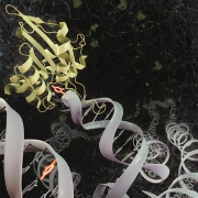 Image of APOBEC3A enzyme attacking a DNA