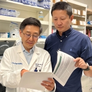 Qin Yang, MD, PhD, and Wei Li, PhD