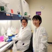 Yuan-Chen Tsai, PhD, and Momoko Watanabe, PhD working in lab at UCI