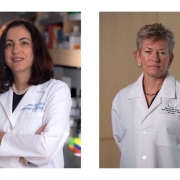 Dr. Daniela Bota (left), the UCI School of Medicine’s vice dean for clinical research, will lead the UCI Alpha Clinic and oversee its REAL micronetwork of academic partners in Orange, Riverside, San Bernardino and Los Angeles counties as a part of UCI’s Sue & Bill Gross Stem Cell Research Center, directed by Aileen Anderson, Ph.D., professor of physical medicine & rehabilitation.