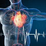Cardiology image