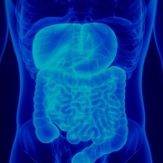 abstract male body intestines gastro
