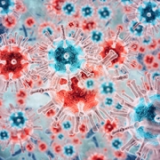 stock image of viruses and bacteria