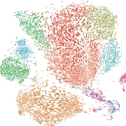 artistic rendering of single cell transcriptomics analysis