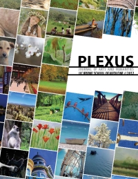 The cover of Plexus 2012: Journal of Arts and Humanities