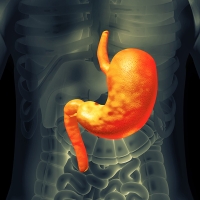Human stomach anatomy. 3d illustration stock photo