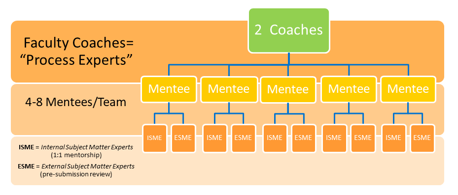 A visual diagram of NIH Boot Camp team structure that shows 2 coaches lead a team of 4-8 mentees; the mentees and coaches often share a general common research interest (i.e. cancer, infectious disease). The number of teams is determined by total mentees accepted to the NIH Boot Camp. Each mentee works with an internal subject matter expert (ISME, a UCI faculty member); each mentee can obtain additional proposal feedback from an external subject matter expert (ESME, faculty member at another institution). 