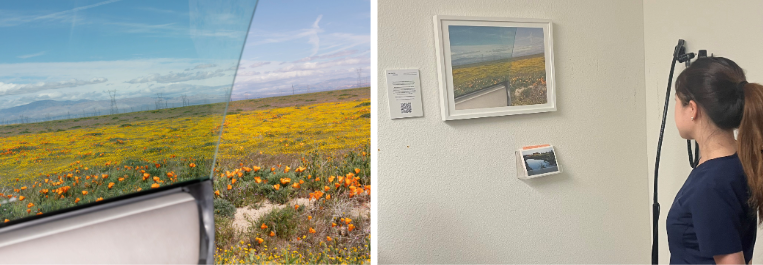On the left is a photo taken from a car’s passenger seat. Part of the car door and window are in the foreground. In the background is a field of orange and yellow flowers, with telephone poles and mountains in the distance.