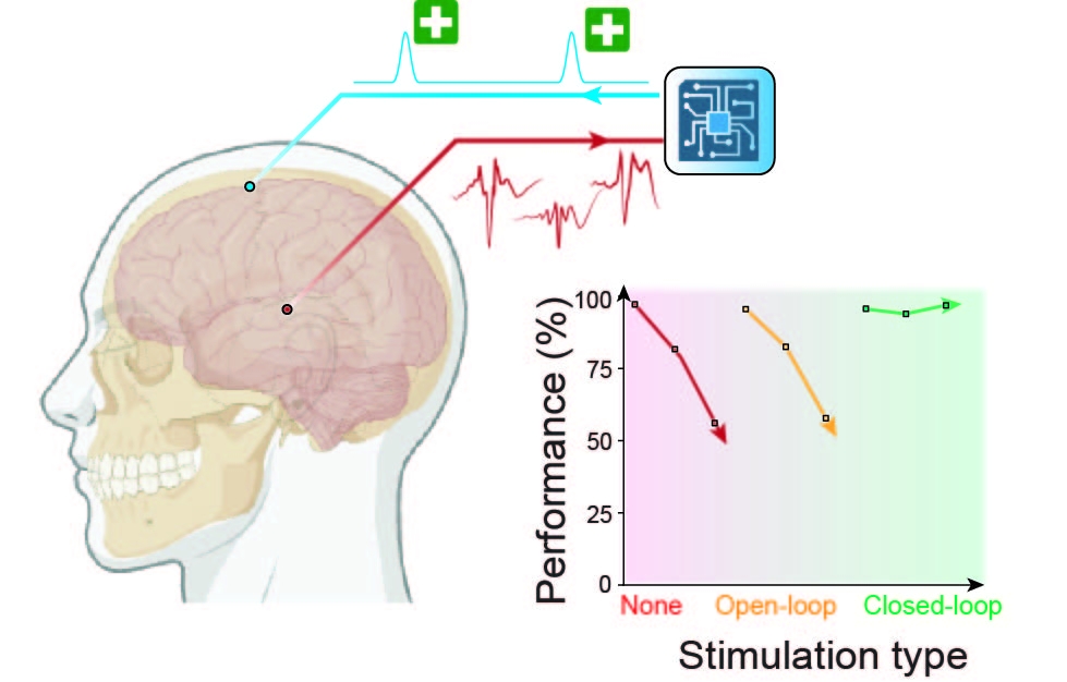 On the left is a human brain, showing epileptic activity occurring in the center of the brain and memory function occurring at the top outer edge. On the right is a graph showing performance decreases with no stimulation and with open-loop stimulation, but performance is maintained with closed-loop stimulation.  