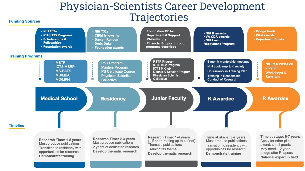 A graphic of Physician-Scientists Career Development Trajectories