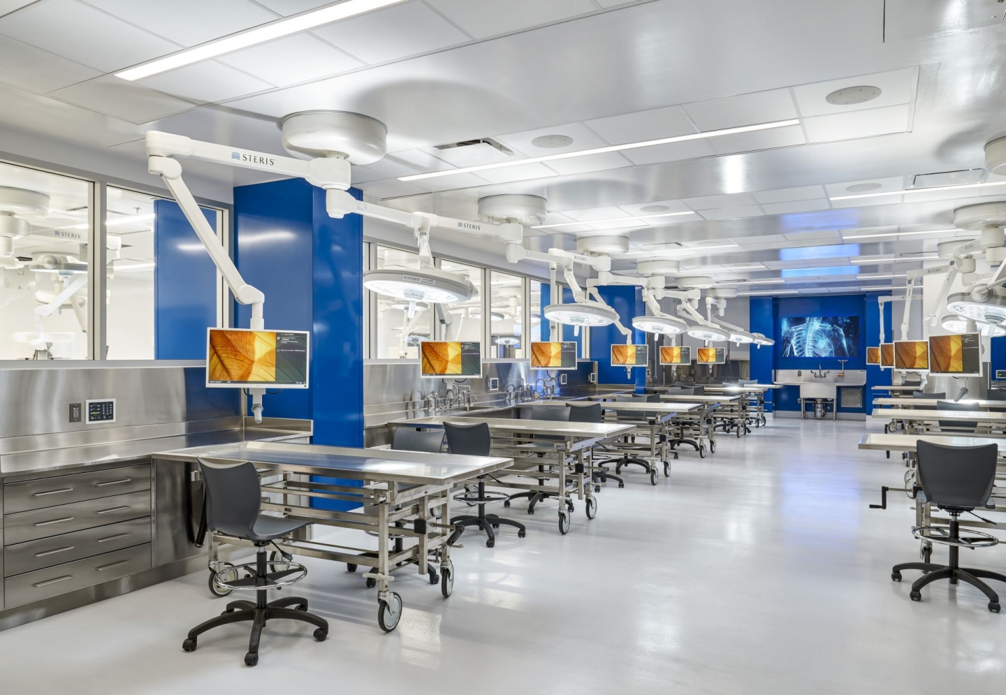 2024 Medical Education Anatomy Lab