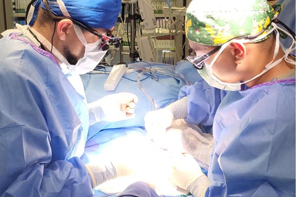 Vascular and Endovascular surgeons performing surgery on a patient