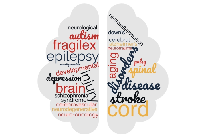 graphic of a brain with wordcloud of disorders