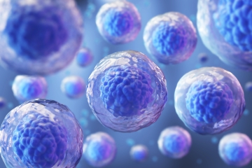 render of stem cells